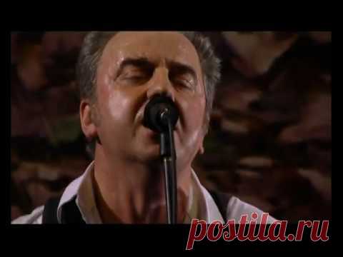 ЧАЙФ - Белая ворона