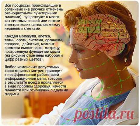 Индивидуальный тренинг Личной эффективности - on-line.
Цвето-информационная оптимизация регуляторных функций организма:
- функций мозга (восприятие, воображение, память и скорость принятия мотивированных решений),
- каждого органа патологической функциональной системы.
- ...