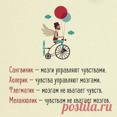 #ХитростиЖизни #темперамент #вкратце