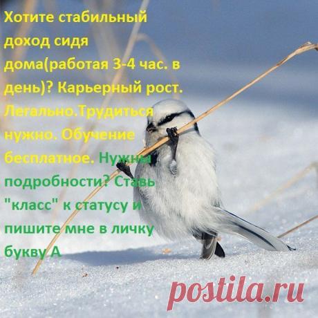 Эля Эльмирка