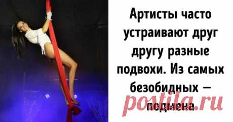 Циркачка, которая живет в доме на колесах, рассказала о своей работе и особенностях кочевой жизни . Милая Я
