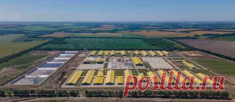 2021 июль. В Курской области открылся новый молочный комплекс на 12 тыс. голов КРС. Будет создано 200 рабочих мест. Суммарный объём инвестиций ГК «Агропромкомплектация» в 4 молочных комплекса, расположенных в Дмитриевском и Железногорском районах Курской области, составляет около 15 млрд рублей