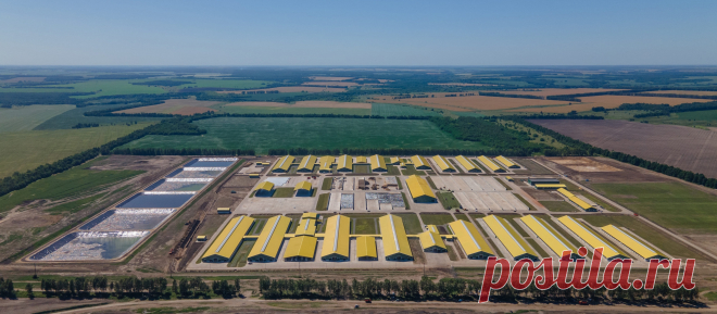 2021 июль. В Курской области открылся новый молочный комплекс на 12 тыс. голов КРС. Будет создано 200 рабочих мест. Суммарный объём инвестиций ГК «Агропромкомплектация» в 4 молочных комплекса, расположенных в Дмитриевском и Железногорском районах Курской области, составляет около 15 млрд рублей