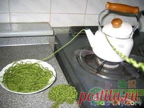 ВТОРАЯ ЖИЗНЬ ПРЯЖИ.
Старые вязаные вещи чаще всего штопают, ставят на них заплаты, что портит внешний вид изделия. Гораздо лучше такие вещи перевязать, предварительно распустив их....