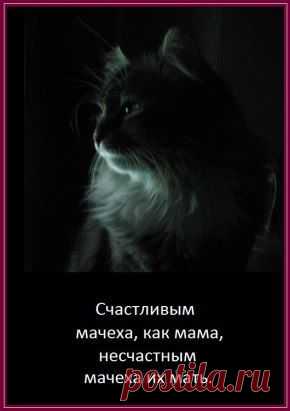 Счастливым мачеха. как мама,
несчастным мачеха их мать.