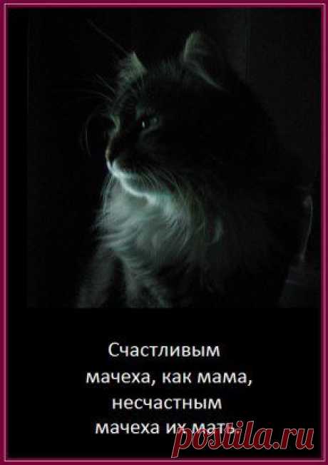 Счастливым мачеха. как мама,
несчастным мачеха их мать.