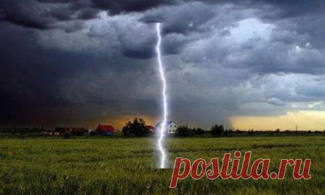 Молнии приносят пользу: они успевают выхватить из воздуха миллионы тонн азота, связать его и направить в землю, удобряя почву.