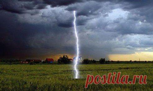 Молнии приносят пользу: они успевают выхватить из воздуха миллионы тонн азота, связать его и направить в землю, удобряя почву.