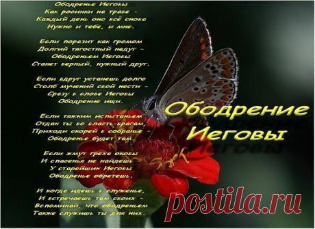 Мой Мир@Mail.Ru