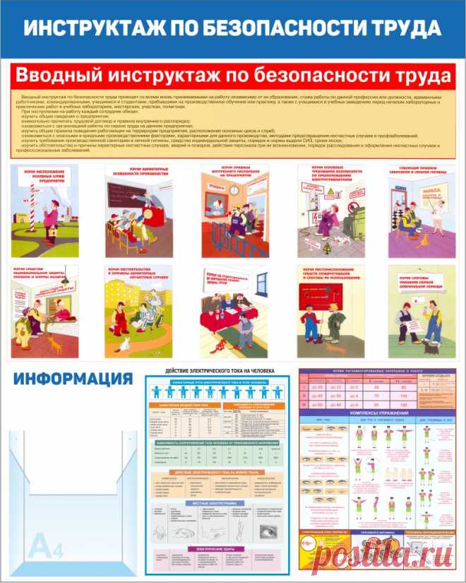 Купить Стенд охрана труда в детском саду 80х100 см в интернет магазине infostend.ru, характеристики, цена на Стенд охрана труда в детском саду 80х100 см 2900 руб. Купить с доставкой Стенд охрана труда в детском саду 80х100 см в интернет магазине infostend.ru. Выгодные цены на Стенд охрана труда в детском саду 80х100 см.