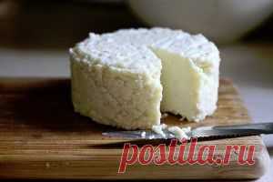 ТОР - 14 Подборка вкусных домашних сыров!