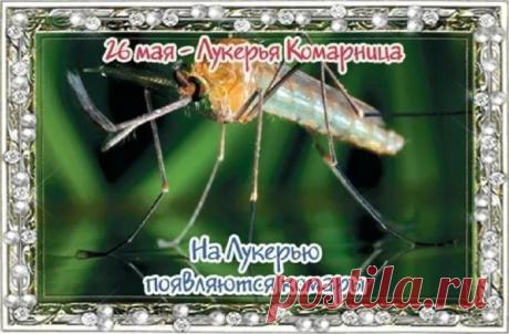 С праздником Лукерьи Комарницы! В день небесной покровительницы хочу пожелать, чтобы в твоей жизни всегда было место настоящим чудесам. Открытки на Лукерья Комарница!