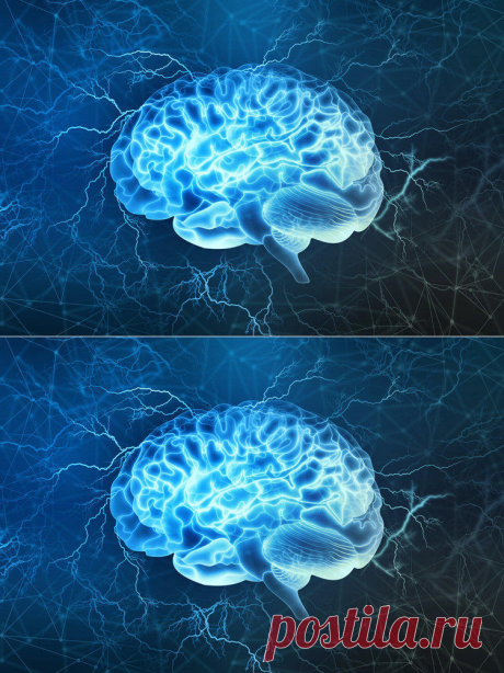 Вся правда о вашем мозге: 11 фактов