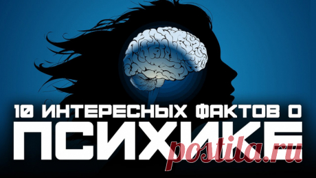 10 секретов человеческой психики, о которых мало кто знает и которые вам точно помогут! — Бизнес-клуб — Профессионалы.ru