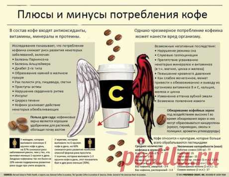 Перед тем как пить безмерно кофе ознакомься с этим. И расскажи друзьям. Плюсы и минусы потребления кофе. | Хитрости Жизни