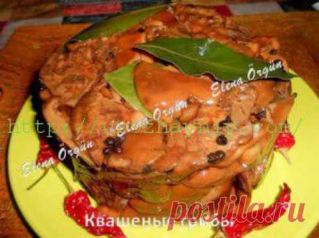 Квашеные грибы от Елены Оргюн..