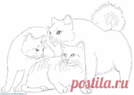 Распечатать раскраску на принтере. Раскраски для детей :: Все для детей. Детские ресурсы