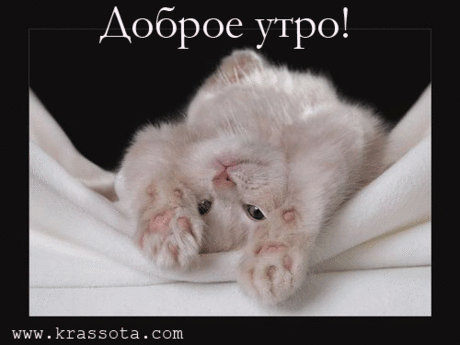 Доброе утро!