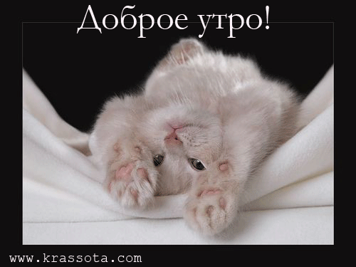 Доброе утро!