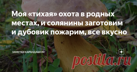 Моя «тихая» охота в родных местах, и солянины заготовим и дубовик пожарим, все вкусно Я большой любитель сбора грибов, «тихой охоты». Основной сбор для себя. На продажу не собираем. Только угощаем знакомых и друзей, когда соберем с излишками. Сбор грибов последнее время у нас не удачный. То времени не хватает, то слой грибов прошёл. Основные грибы, которые мы собираем широко известны. Солонину собираем несколько видов. Сморчки, сыроежки, свинари мы не собираем. Хотя знаем, как