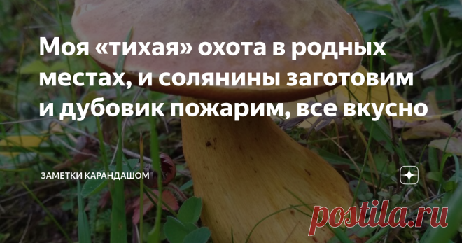 Моя «тихая» охота в родных местах, и солянины заготовим и дубовик пожарим, все вкусно Я большой любитель сбора грибов, «тихой охоты». Основной сбор для себя. На продажу не собираем. Только угощаем знакомых и друзей, когда соберем с излишками. Сбор грибов последнее время у нас не удачный. То времени не хватает, то слой грибов прошёл. Основные грибы, которые мы собираем широко известны. Солонину собираем несколько видов. Сморчки, сыроежки, свинари мы не собираем. Хотя знаем, как