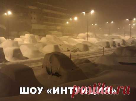 Правда Жизни | Юмор, Мотивация, Сарказм, Цитаты