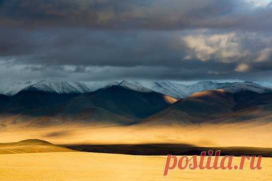 Вечернее золото Алтая. Автор фото – Юрий Сорокин: nat-geo.ru/photo/user/18833/