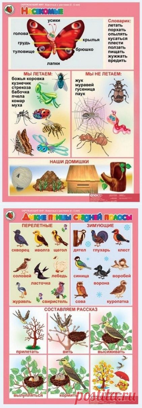 ОБУЧАЛКИ И РАЗВИВАЛКИ ДЛЯ ДЕТЕЙ