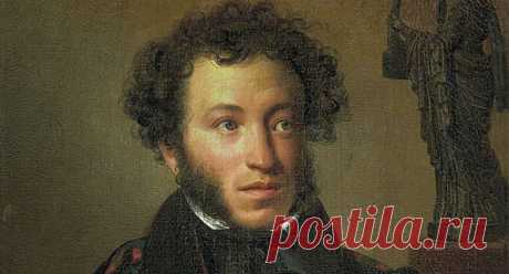 29 Пальм - Клуб путешествий Павла Аксенова > Блог Павла Аксенова