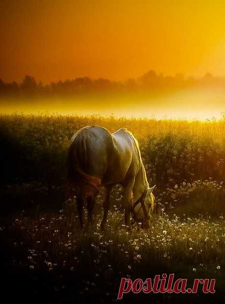 Legendary Scholar — gaiagalatea:...