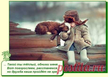 Хорошее настроение рядом