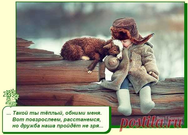 Хорошее настроение рядом