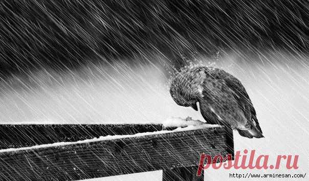 Кто битым был, тот большего добьется..