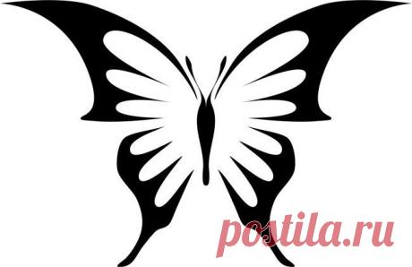 Фотографии на стене сообщества | 32 771 фотография