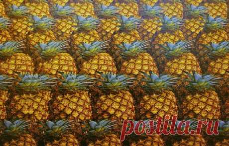 Стереокартинки для тренировки глаз – Фитнес для мозга