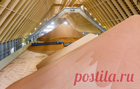 Первое судно с российскими удобрениями для Африки прибыло в порт назначения в Мозамбике. В посольстве России в Мозамбике заявили, что судно будет находиться на якорной стоянке в ожидании разгрузки, которая произойдет не ранее 1 февраля