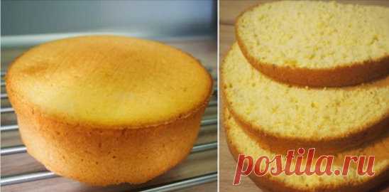 Чего только не делают молодые хозяйки, чтобы испечь пышный бисквит в духовке! Добавляют газировку, пиво, разрыхлитель, соду… Но капризная выпечка не поддается. Сегодня мы научим тебя готовить самый простой и вкусный торт — классический бисквит, который получается всегда! Бисквит классический в духовке Чтобы бисквит получился ровным, пористым и воздушным, обязательно просеивай муку и не открывай духовку во время выпекания. Смазывай только дно формы, так бисквит будет равномерным. А если у тебя ст