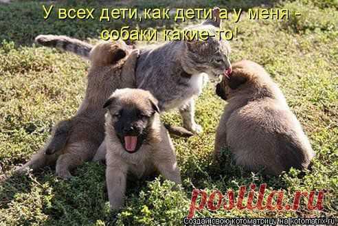 (69) Одноклассники
