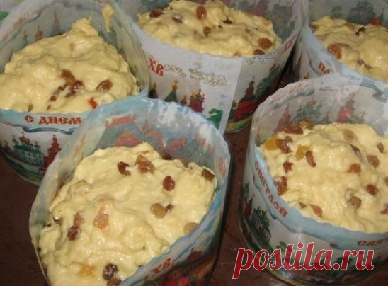 Александрийское тесто (для куличей) Совершенно потрясающие куличи! Сладкие, нежные, мягкие... Вкуснее я не ела в жизни! Рецепт бабушкин, готовит она по этому рецепту уже несколько десятков лет. С порции получается очень много куличей, смело делите количество на 2, 3, 4... 1 л. топленого молока; 1 кг. сахара; 500 гр. слив. масла; 10 яиц; 3 желтка; 150 гр. свежих дрожжей. Яйца слегка взбить, масло порезать кусочками, смешать все продукты с теплым молоком и оставить в теплом месте на 8-12 часов (см