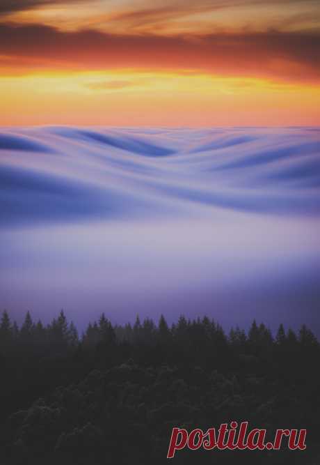 (7) Tumblr