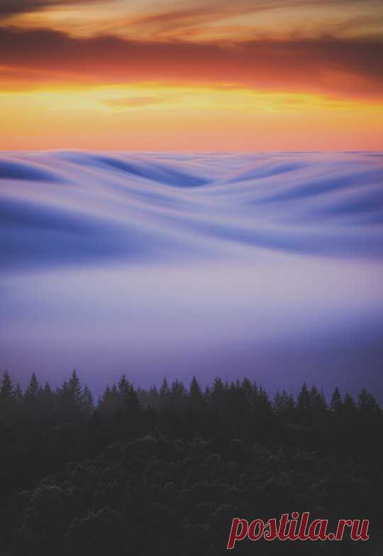 (7) Tumblr