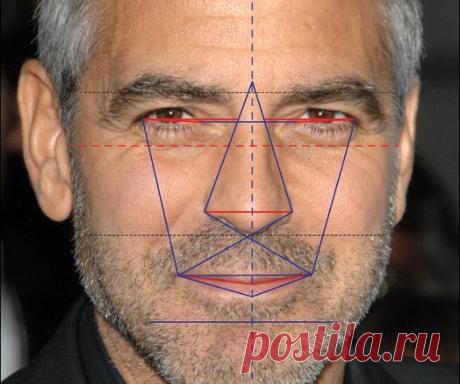 Как математически доказать, что ты красивый? Ученые говорят, что самое красивое лицо у Джорджа Клуни.