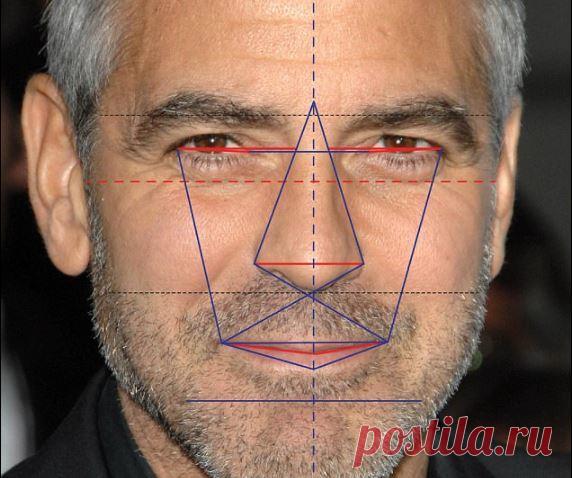 Как математически доказать, что ты красивый? Ученые говорят, что самое красивое лицо у Джорджа Клуни.