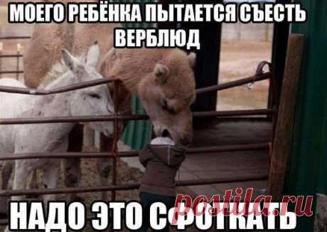 Мой Мир@Mail.Ru