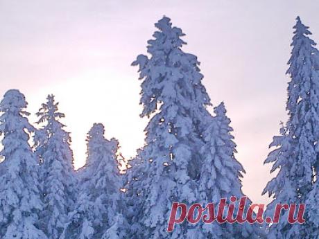 Наталья Калашникова 14 февраля, с праздником любви!!!