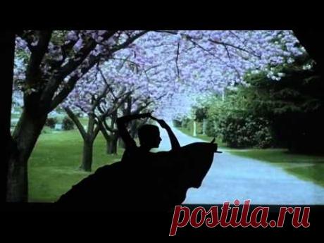 Подростковый театр теней &quot;Феникс&quot; Анапа