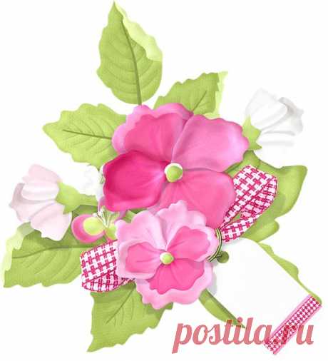 (24) Pinterest