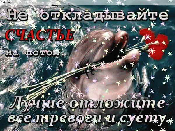 Мой Мир@Mail.Ru