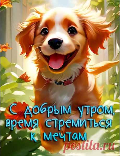 Картинка с добрым утром с собакой