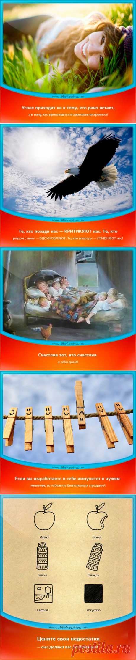 Позитивчики Недели (смотреть фото)